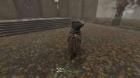 Pathologic 2020-04-10 23-45-55.png