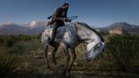 RDR220191124112052225.jpg