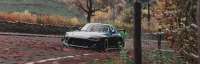 Forza Horizon 4  (4).jpg