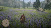 Red Dead Redemption 2 Screenshot 2020.04.18 - 23.44.28.36.jpg