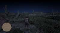 Red Dead Redemption II Screenshot 2019.11.14 - 22.50.38.70.jpg