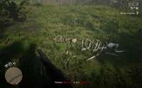 RDR220200118182410969.jpg