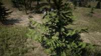 RDR220191107215930228.jpg