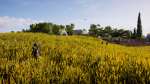ACOdyssey 2019-08-24 00-09-14-136.jpg