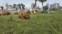GTA520200416205211282.jpg