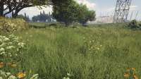 GTA520200416205546018.jpg