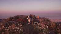 ACOdyssey20200421184441395.png
