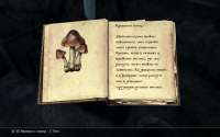 SkyrimSE20200422120006025.png
