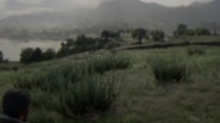 15784260125710.mp4