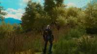 The Witcher 3 17.04.2020 194316.png