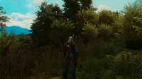 The Witcher 3 17.04.2020 194321.png