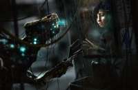 soma.850.560-679x447.jpg