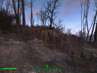 Fallout4 2020-04-24 10-05-31-04.png