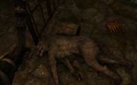 SkyrimSE20200426141942851.png