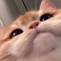15748327610980.png