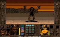 770586-ravenloft-stone-prophet-dos-screenshot-with-the-trol[...].png