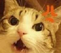 AoGgXa1.png