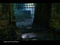 witcher.exe2020-07-21-11-43-46-165.jpg