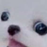 1482515618745.jpeg