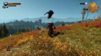 witcher3 2015-05-25 18-00-57-588.jpg