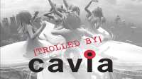 trolled by cavia.png