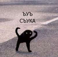 1574370521442.jpg
