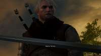 witcher320200807133641410.png