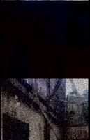 1491642251085.mp4