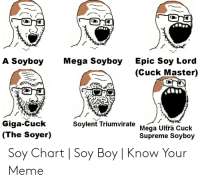 mega-soyboy-epic-soy-lord-cuck-master-a-soyboy-giga-cuck-53[...].png