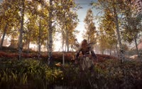 1596911845603.mp4