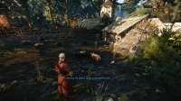 witcher320200808234641548.png