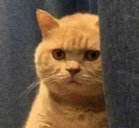 EeN3JpbX0AIwTSp.jfif
