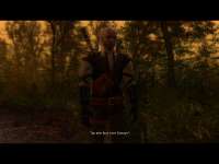 witcher.exe2020-08-08-08-20-50-096.jpg