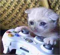 300px-SadGamingCat.jpg