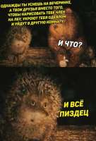 OZMck43NMAo.jpg