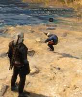 The-Witcher-Игры-The-Witcher-3-школота-2120259.jpeg