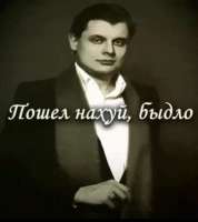 15872875500200.jpg