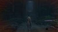 SEKIRO  SHADOWS DIE TWICE Screenshot 2020.10.24 - 13.09.13.[...].png