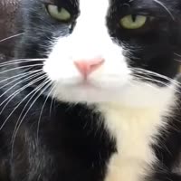1479880322963.mp4