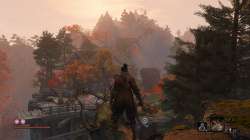 SEKIRO  SHADOWS DIE TWICE Screenshot 2020.10.25 - 09.32.38.[...].png
