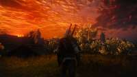 The Witcher 3 09.12.2020 00145.png