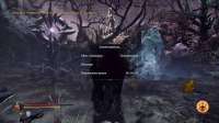 LordsOfTheFallen20210104182124440.png