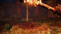 Far Cry Primal2017-1-6-16-40-41.jpg
