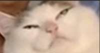 15336316261207.jpg