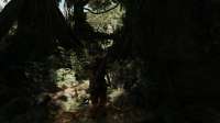 Shadow of the Tomb Raider Screenshot 2021.01.12 - 01.32.01.[...].png