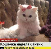 16061612392840.jpg