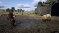 RDR2 2021-01-23 01-09-13.jpg