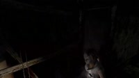 15787397150393.webm