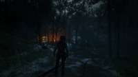 RDR2 2021-01-24 01-53-29.jpg