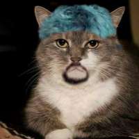 15915647743390.jpg